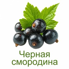 Черная смородина, фото